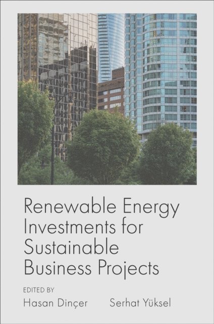 Serhat Yuksel, Hasan Dincer - Renewable Energy Investments for Sustainable Business Projects, E-bok