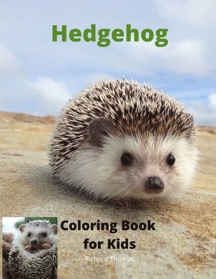 Richard Thomas - Hedgehog Coloring Book for Kids, Häftad