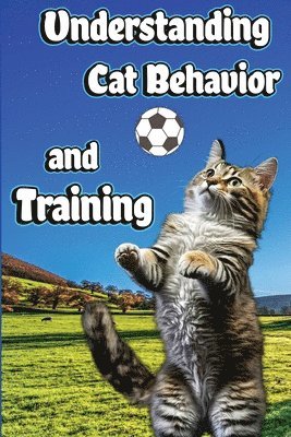 Understanding Cat Behavior and Training