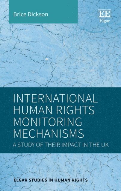 Brice Dickson - International Human Rights Monitoring Mechanisms, E-bok