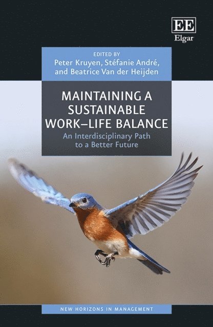 Beatrice Van der Heijden, Stefanie Andre, Peter Kruyen - Maintaining a Sustainable Work-Life Balance, E-bok
