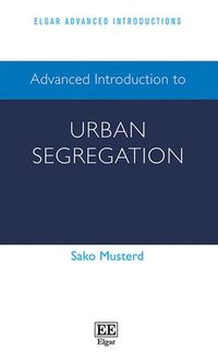 Advanced Introduction to Urban Segregation