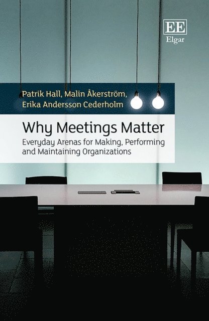 Erika A. Cederholm, Malin Akerstrom, Patrik Hall - Why Meetings Matter, E-bok