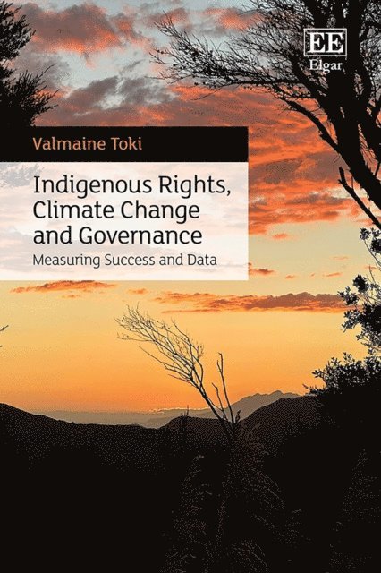 Valmaine Toki - Indigenous Rights, Climate Change and Governance, E-bok