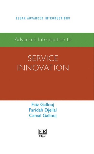 Camal Gallouj, Faridah Djellal, Faiz Gallouj - Advanced Introduction to Service Innovation, E-bok