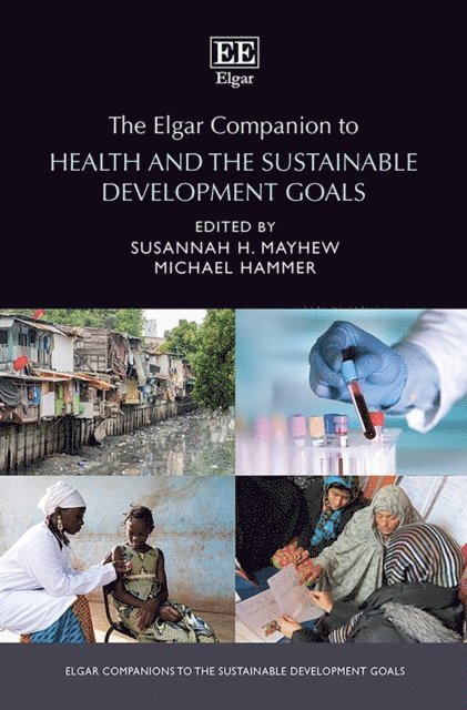 Michael Hammer, Susannah H. Mayhew - Elgar Companion to Health and the Sustainable Development Goals, E-bok