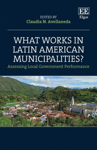Claudia N. Avellaneda - What Works in Latin American Municipalities?, E-bok