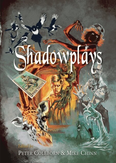 Mike Chinn, Peter Coleborn - Shadowplays, E-bok