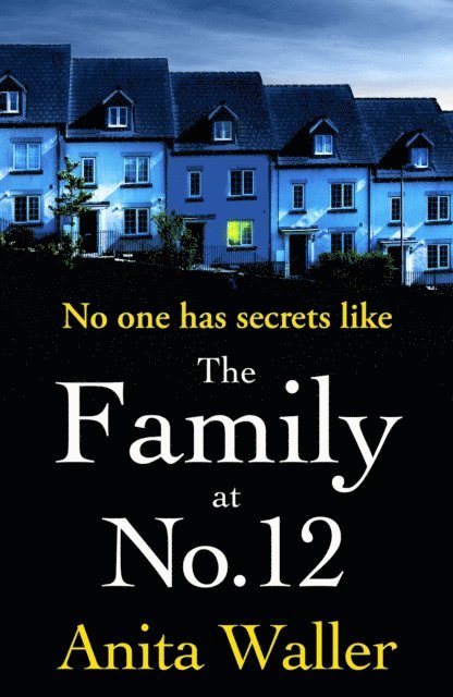Anita Waller - Family at No. 12, E-bok
