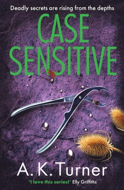A. K. Turner - Case Sensitive, E-bok