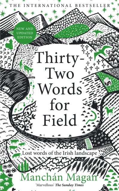 Manchan Magan - Thirty-Two Words for Field, E-bok