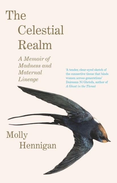 Molly Hennigan - Celestial Realm: SHORTLISTED FOR THE SUNDAY INDEPENDENT NEWCOMER OF THE YEAR IRISH BOOK AWARDS, E-bok