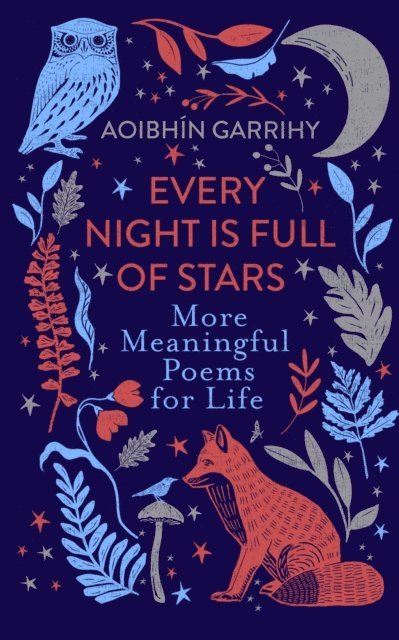 Aoibhin Garrihy - Every Night is Full of Stars, E-bok