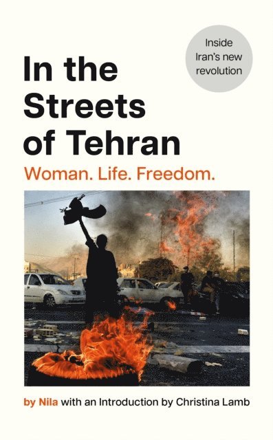 Nila - In the Streets of Tehran, E-bok