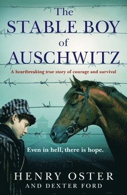 Dexter Ford, Henry Oster - Stable Boy of Auschwitz, Häftad