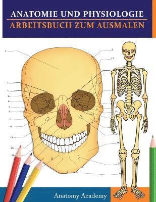 Anatomy Academy - Anatomie und Physiologie Arbeitsbuch zum Ausmalen, Häftad