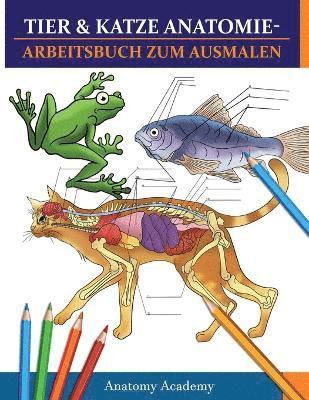 Anatomy Academy - Tier & Katze Anatomie-Arbeitsbuch zum Ausmalen, Häftad