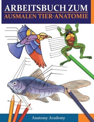 Anatomy Academy - Arbeitsbuch Zum Ausmalen Tier-Anatomie, Häftad