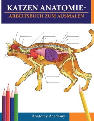 Anatomy Academy - Katzen AnatomieArbeitsbuch zum Ausmalen, Häftad