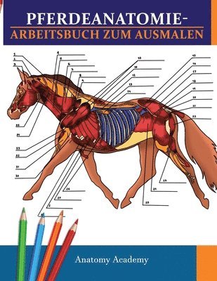 Anatomy Academy - Pferdeanatomie-Arbeitsbuch zum Ausmalen, Häftad