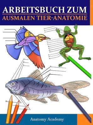 Anatomy Academy - Arbeitsbuch Zum Ausmalen Tier-Anatomie, Inbunden