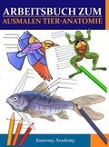 Arbeitsbuch Zum Ausmalen Tier-Anatomie