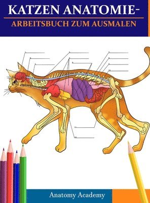 Anatomy Academy - Katzen AnatomieArbeitsbuch zum Ausmalen, Inbunden