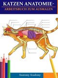 Katzen AnatomieArbeitsbuch zum Ausmalen