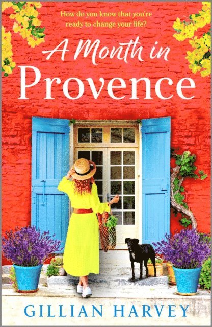 Gillian Harvey - Month in Provence, E-bok