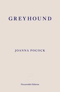 Greyhound