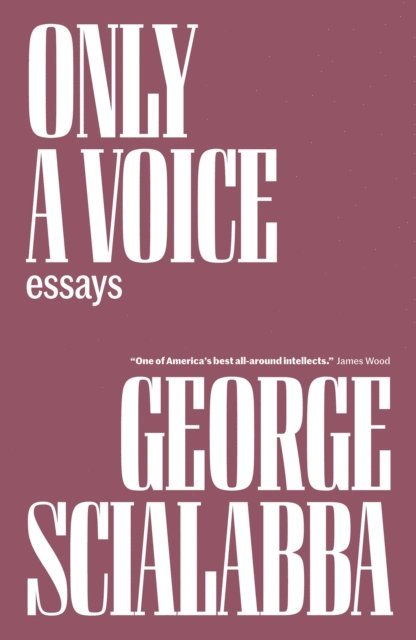 George Scialabba - Only a Voice, E-bok