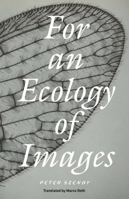 Peter Szendy - For an Ecology of Images, E-bok