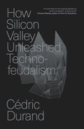 How Silicon Valley Unleashed Techno-feudalism