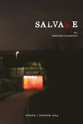 Salvage - Salvage #14: Shrouded in Darkness, Häftad. Tillgänglighet: Lägg i varukorg