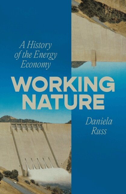 Daniela Russ - Working Nature, E-bok