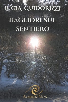 Lucia Guidorizzi - Bagliori sul sentiero, Häftad