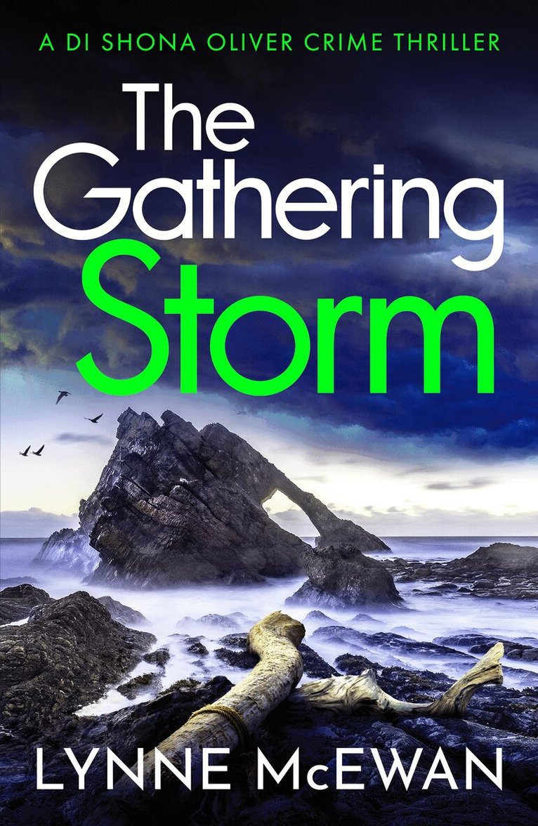 Lynne McEwan - Gathering Storm, Häftad