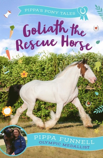 Pippa Funnell - Goliath the Rescue Horse, E-bok