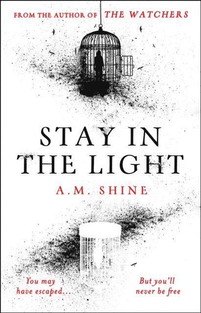 A.M. Shine - Stay in the Light, E-bok