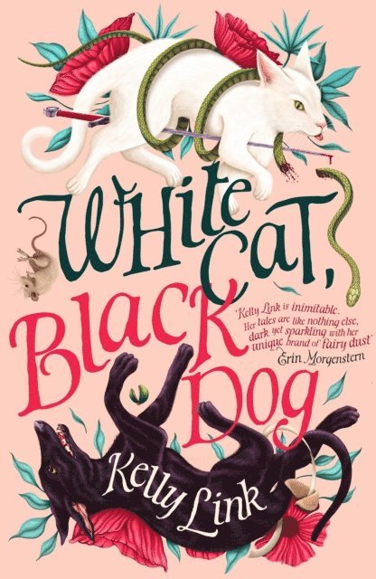 Kelly Link - White Cat, Black Dog, E-bok