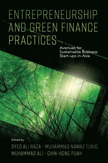 Chin-Hong Puah, Muhammad Ali, Muhammad Nawaz Tunio, Syed Ali Raza - Entrepreneurship and Green Finance Practices, E-bok