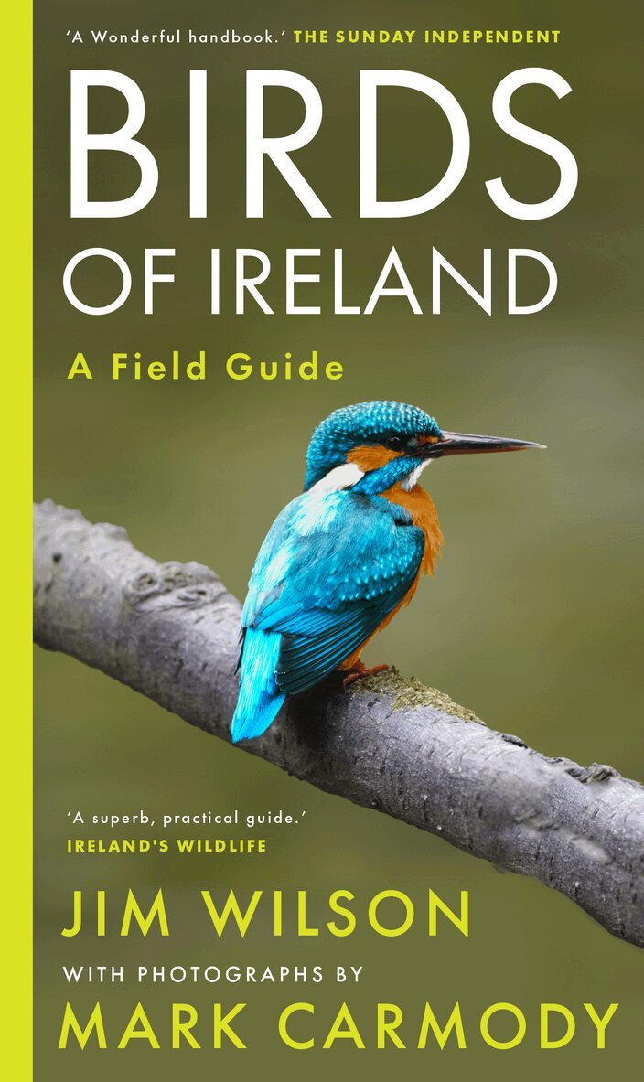 Jim Wilson, Mark Carmody - Birds of Ireland, Häftad