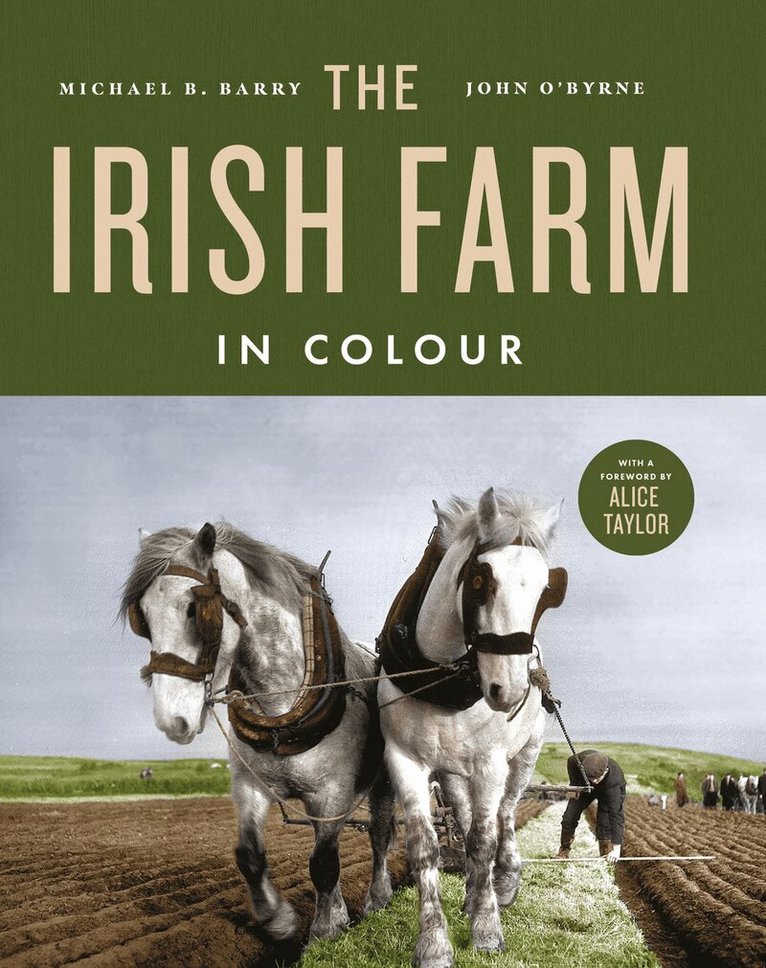 Irish Farm in Colour