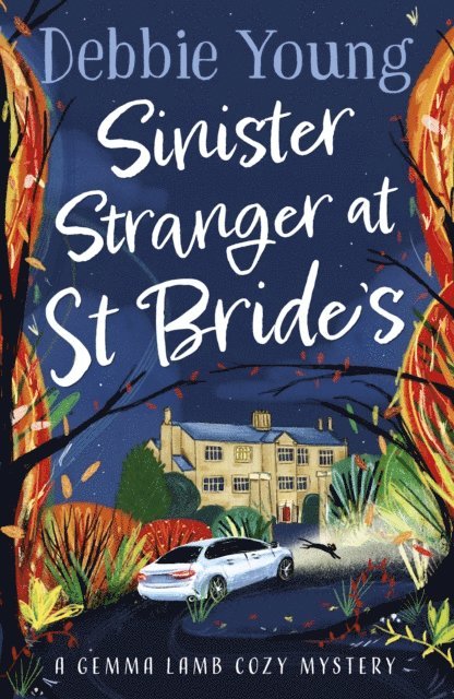 Debbie Young - Sinister Stranger at St  Bride's, E-bok