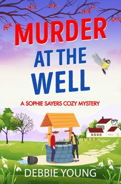 Debbie Young - Murder at the Well, E-bok