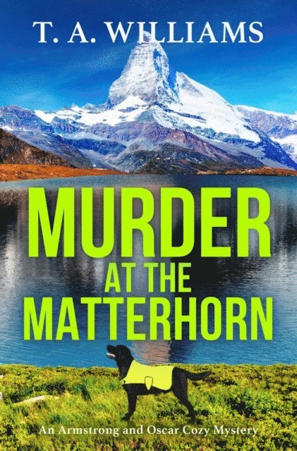 T A Williams - Murder at the Matterhorn, E-bok