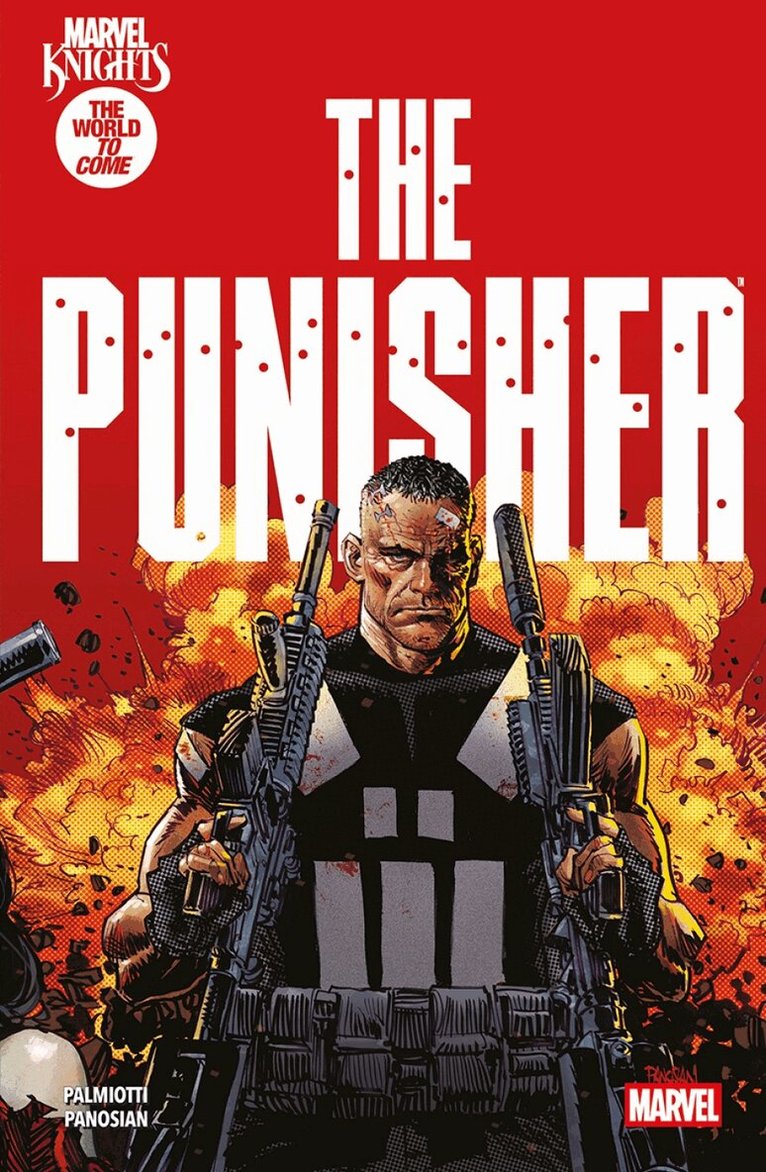 Jimmy Palmiotti - Marvel Knights: Punisher, Häftad