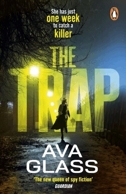 Ava Glass - Trap, Häftad