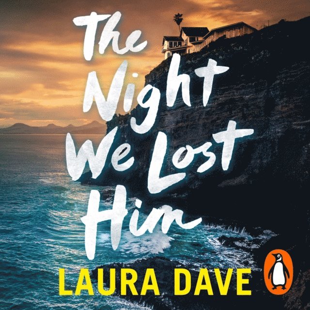 Laura Dave - Night We Lost Him, Ljudbok