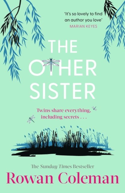 Rowan Coleman - Other Sister, E-bok